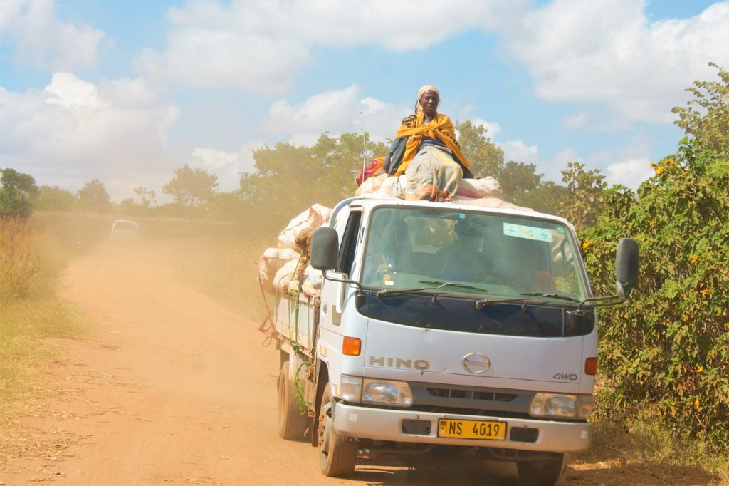 The acute shortage of foreign currency exchange has cast a heavy shadow over the small businesses in Malawi, leaving them struggling in a relentless battle for survival.